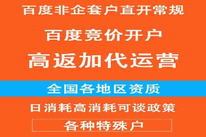 案例研究：百度推广托管助力电商品牌快速崛起